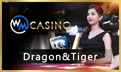 Lodi291 Live Casino